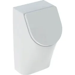 Geberit Urinal Renova Plan weiß mit Deckel Zulauf/Abgang hinten