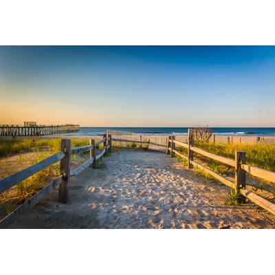Fototapete PAPERMOON "Dunes Atlantic Ocean", bunt, B:3m L:2,23m, Vlies, Tapeten