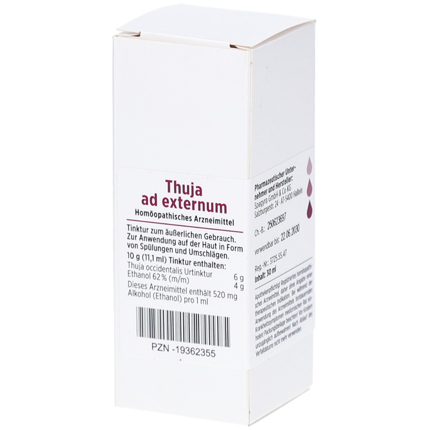 Thuja AD externum Tinktur 30 ml
