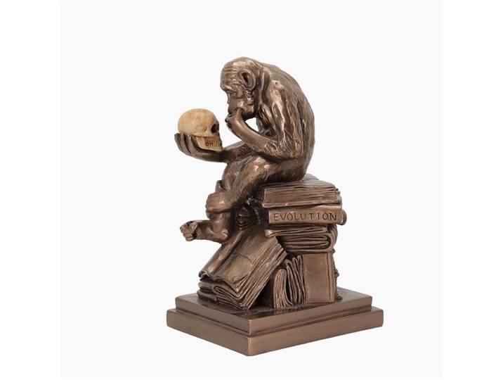 Bibliothèque figurine antropoïde résine évolution humaine Miniature Darwin singe histoire nouveauté crâne ornement décor artisanat accessoires
