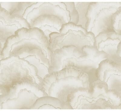 Candice Olson Abalone Sand Fans Wallpaper