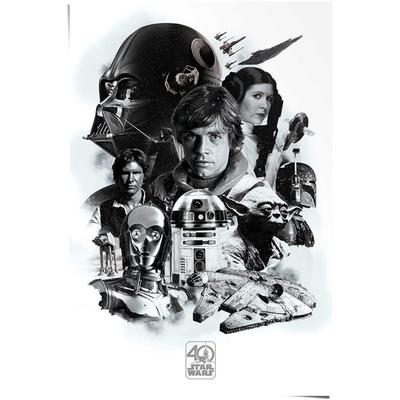 Poster REINDERS "Poster Star Wars 40 Jahre", schwarz (farbe bild(er): schwarz), B:61cm H:91,5cm, Papier, Bilder, Poster