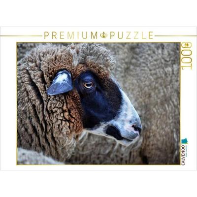 CALVENDO Puzzle Freundliches Schaf | 1000 Teile Lege-Größe 64x48cm Foto-Puzzle für glückliche Stunden, Sonstige von , Calvendo Puzzle