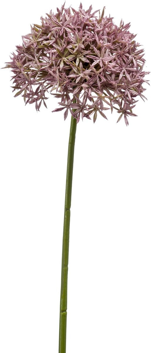 Emerald Kunstbloem Allium lila 62cm - Kunstplant voor binnen