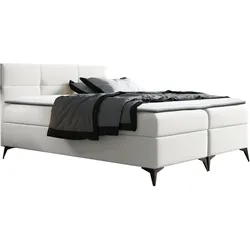 BOXBETT Figaro - H3