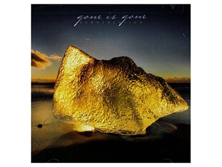 Gone Is Gone - Echolocation