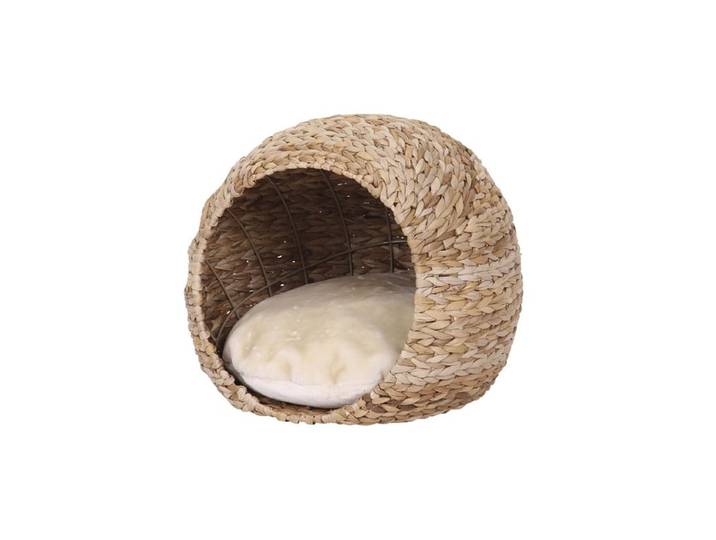 Nobby Katzenhöhle LASA