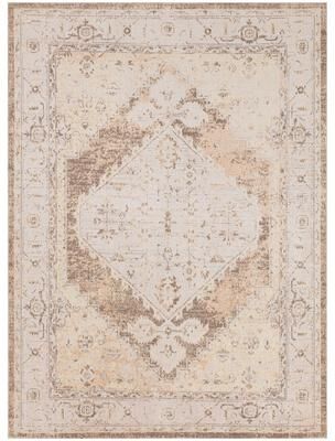 Nourison Astra Machine Washable Distressed Vintage Area Rug