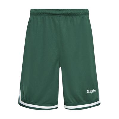 Dropsize "Dropsize Herren Dropsize Logo Mesh Shorts"