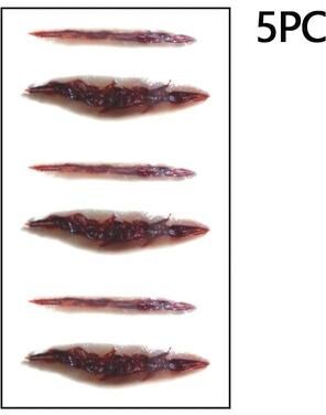 Uplifted Finds Waterproof Bloody Halloween Scar & Wound Temporary Tattoo Stickers f 5 Pcs