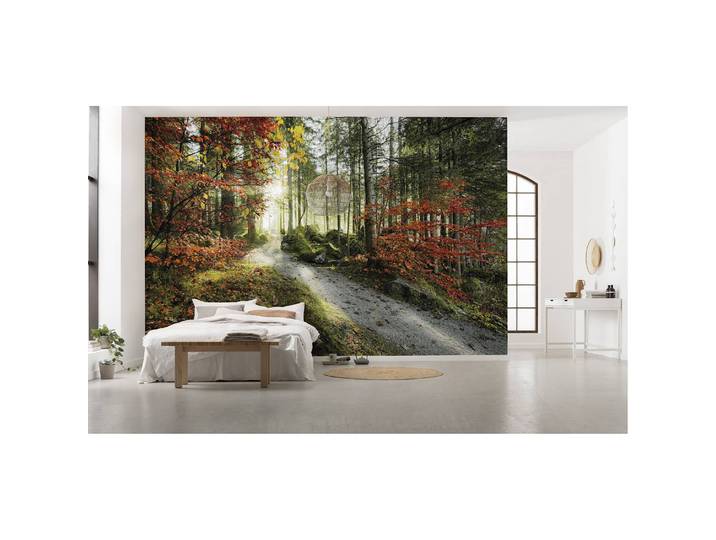 Papier peint intissé Langues de feu 450 x 280cm