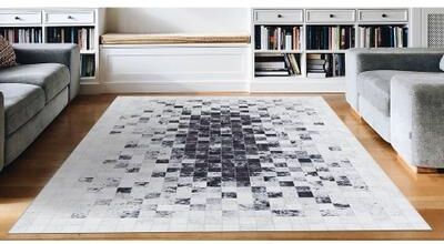 Dream Decor Rugs Steppe New Moon Ivory-Gray Area Rug