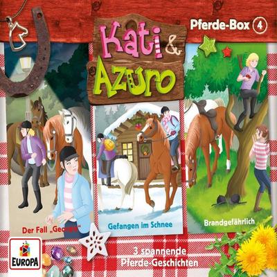 3er-Box (Folgen 10-12) - Anna Benzing, Audio, 4064066661373