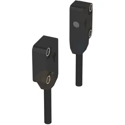 Balluff Optoelektronischer Sensor BOS R030K-PO-RX20-02