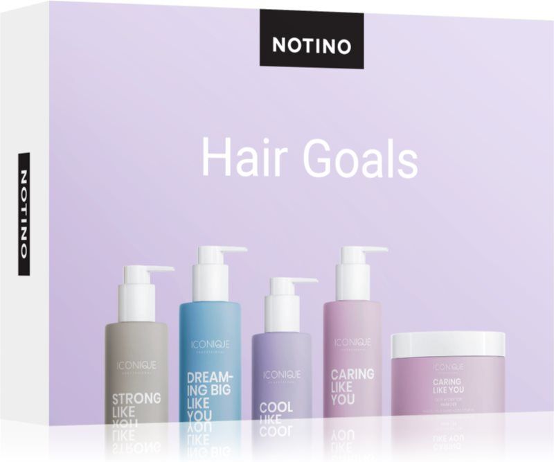 Beauty Discovery Box Notino Hair Goals set W