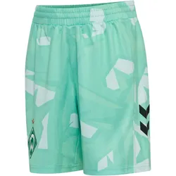 hummel SV Werder Bremen Torwartshorts 2026/27 Kinder 6194 - ice green 152