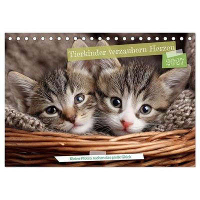 Tierkinder verzaubern Herzen (Tischkalender 2027 DIN A5 quer), CALVENDO Monatskalender