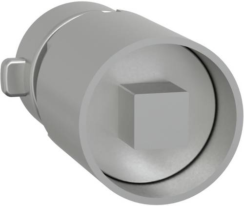 Schneider Electric LVS07951 PrismaSeT-P, Zylinderschloss, mit Vierkanteinsatz 6mm Zylinderschloss 1St.