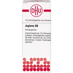 Juglans D 6 10 G