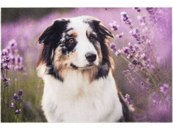 Fussmatte ASTRA Deco Print 105 , lila (multi), B:40cm H:5mm L:60cm, Kunstfaser, Teppiche, Fussmatte, Sauberlaufmatte, Türmatte, waschbar, Eingangsbereich, rutschfest
