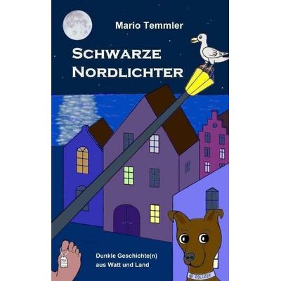 Schwarze Nordlichter, Taschenbuch von Mario Temmler, Tredition, 978-3-384-10536-3
