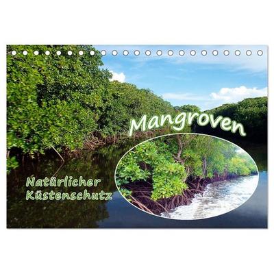 Mangroven - Natürlicher Küstenschutz (Tischkalender 2027 DIN A5 quer), CALVENDO Monatskalender
