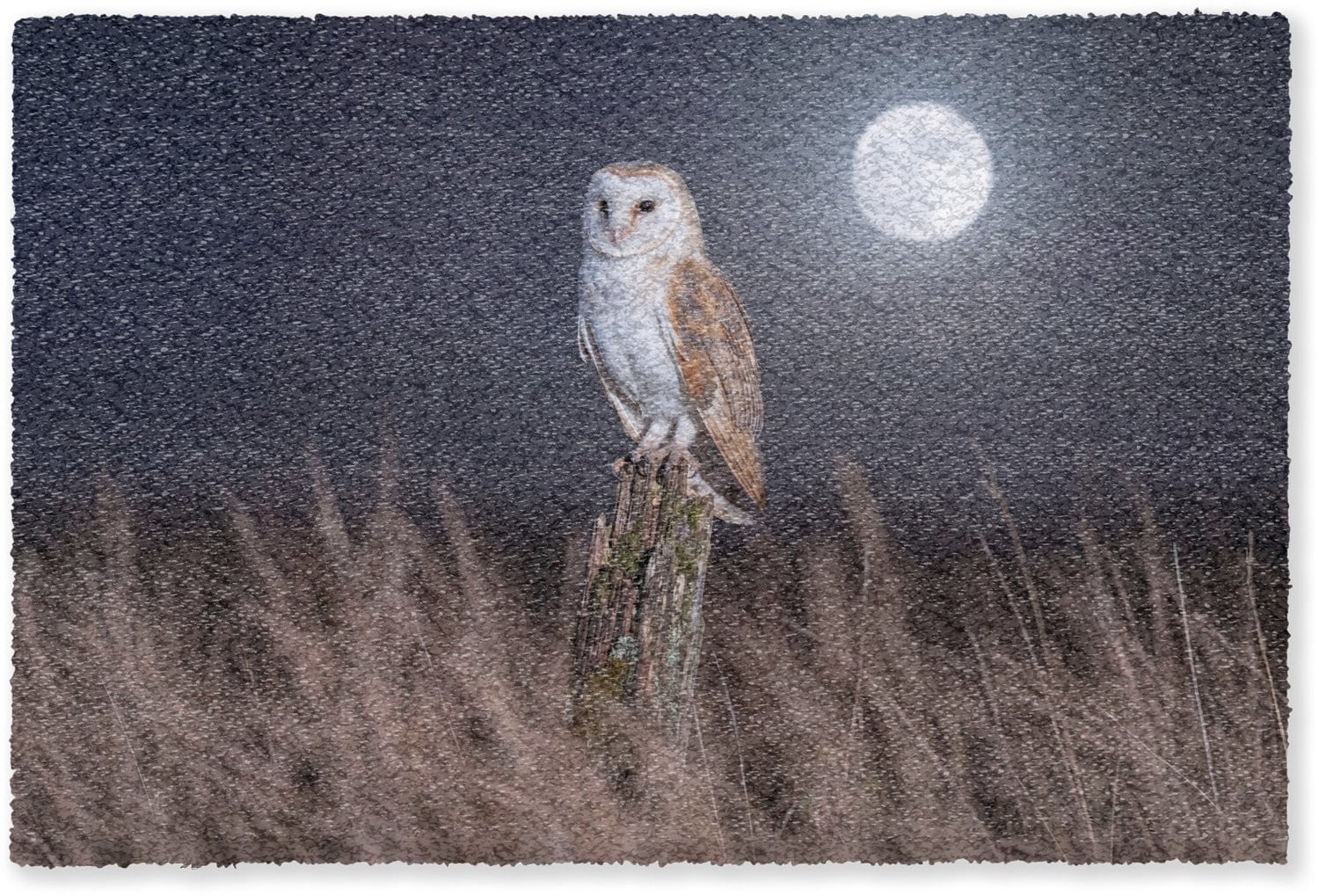 Deurmat Kerkuil Maan Nacht - Droogloopmat voor binnen - 180 x 120 cm