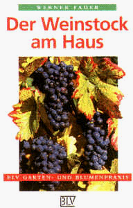 Werner Fader - BLV Taschenbücher, Der Weinstock am Haus - Preis vom 09.10.2026 07:28:09 h