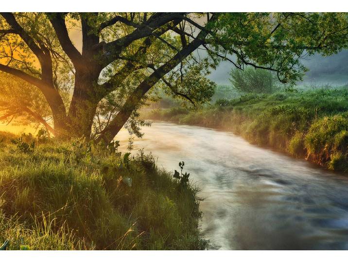 Fototapete PAPERMOON Fluss am Baum , bunt, B:1,5m L:1,11m, Vlies, Tapeten, Fototapete