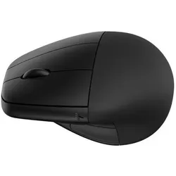 HP Wireless Premium Mouse (Kabellos), Maus, Schwarz