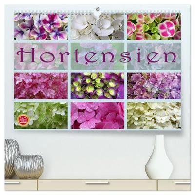 Hortensien / Geburtstagskalender (hochwertiger Premium Wandkalender 2026 DIN A2 quer), Kunstdruck in Hochglanz
