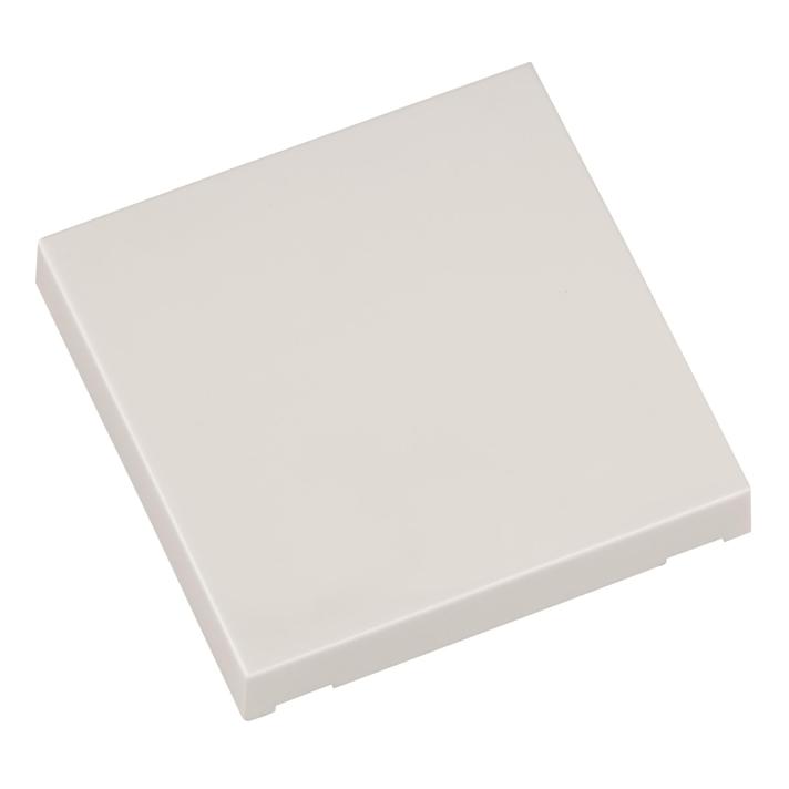 Eldat Taste Ein/Aus ws RTS22-ACC-02-02P f.Wandtaster RTS22 Format 55 (RTS22ACC0202P)