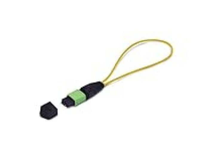 StarTech Module Loopback MPO-12 Mâle, 9/125 (LOOPBACKMTP12OS2SMM)