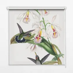 INNENROLLO - Fensterrollo - Rollo - 150x140 cm - Vögel auf einer Blume