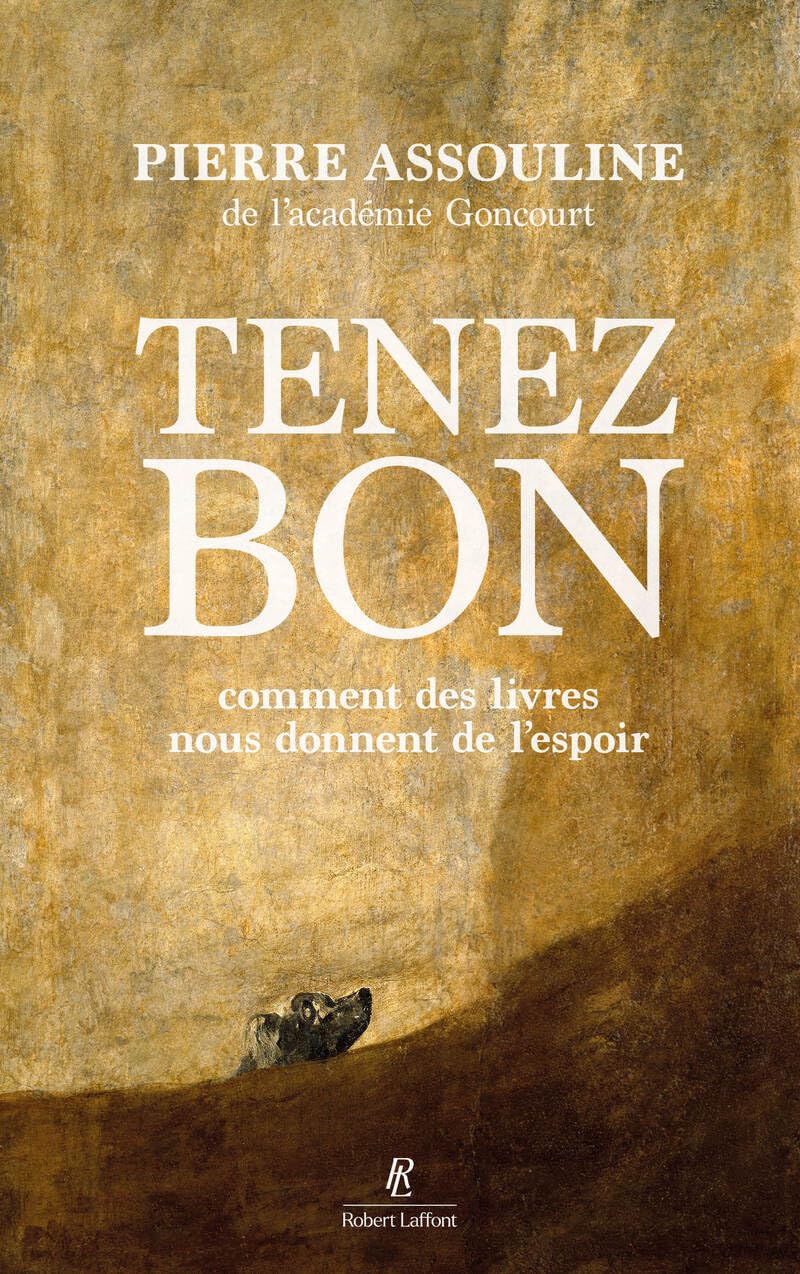 Pierre Assouline - Tenez bon : comment des livres nous donnent de l'espoir - Preis vom 11.10.2026 03:10:56 h