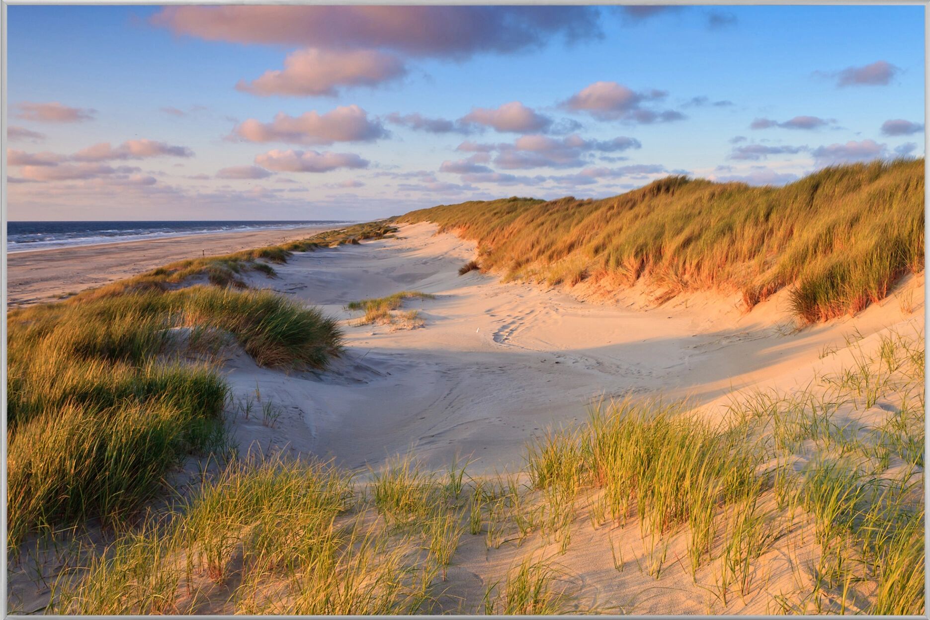 image LAND Dünen am Meer 2