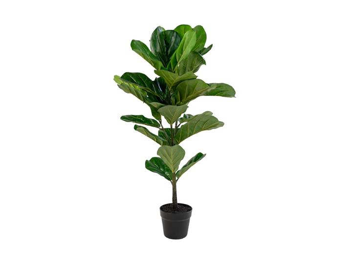 Lebensechte Kunstpflanze „Fiddle Leaf Tree“ Grün, Braun Nordic Living