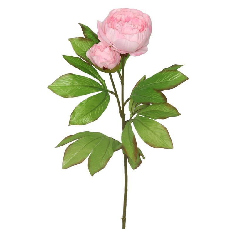 Domoletti ARTIFICIAL FLOWER PEONY 8025.30 PI (68 cm) (56660221)