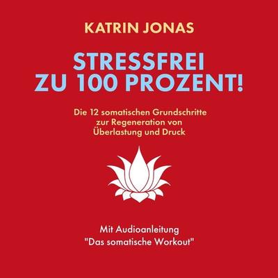 Stressfrei zu 100 Prozent! - Katrin Jonas, Audio, 9783689834951