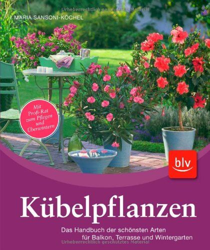 Maria Sansoni-Köchel - Kübelpflanzen: Das Handbuch der schönsten Arten für Balkon, Terrasse und Wintergarten - Preis vom 05.10.2026 03:47:11 h