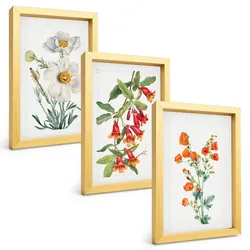 BILDER SET 3er Set - 20x30 cm Goldrahmen - Retro-Blumenarrangements