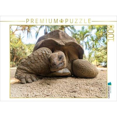CALVENDO Puzzle Aldabra Riesenschildkröte | 1000 Teile Lege-Größe 64x48cm Foto-Puzzle für glückliche Stunden