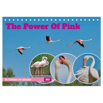 The Power Of Pink (Tischkalender 2027 DIN A5 quer), CALVENDO Monatskalender