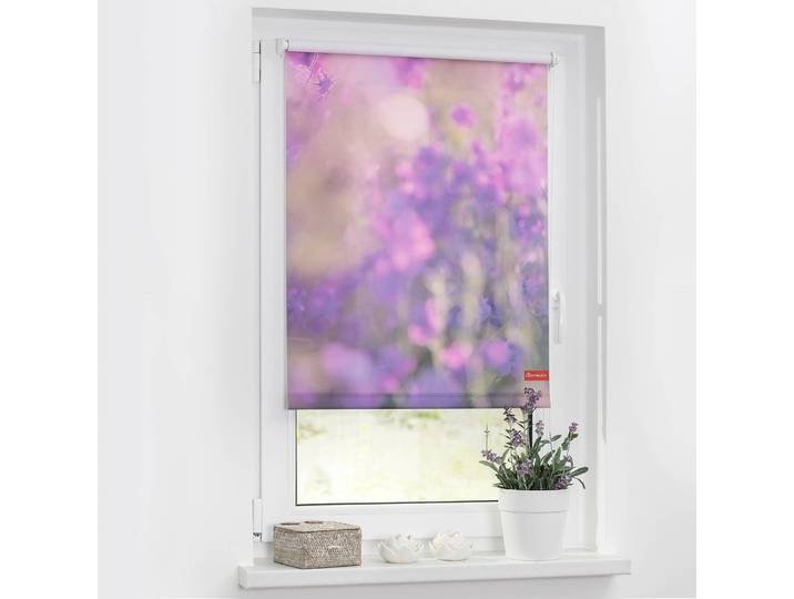 Klemmfix-Rollo Blumenwiese 80 x 150cm Violett