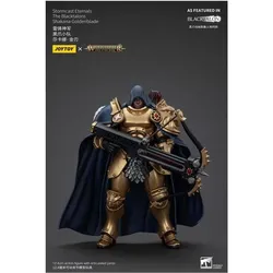 Joy Toy Warhammer Age of Sigmar Actionfigur Stormcast Eternals The Blacktalons Shakana Goldenblade 20 cm