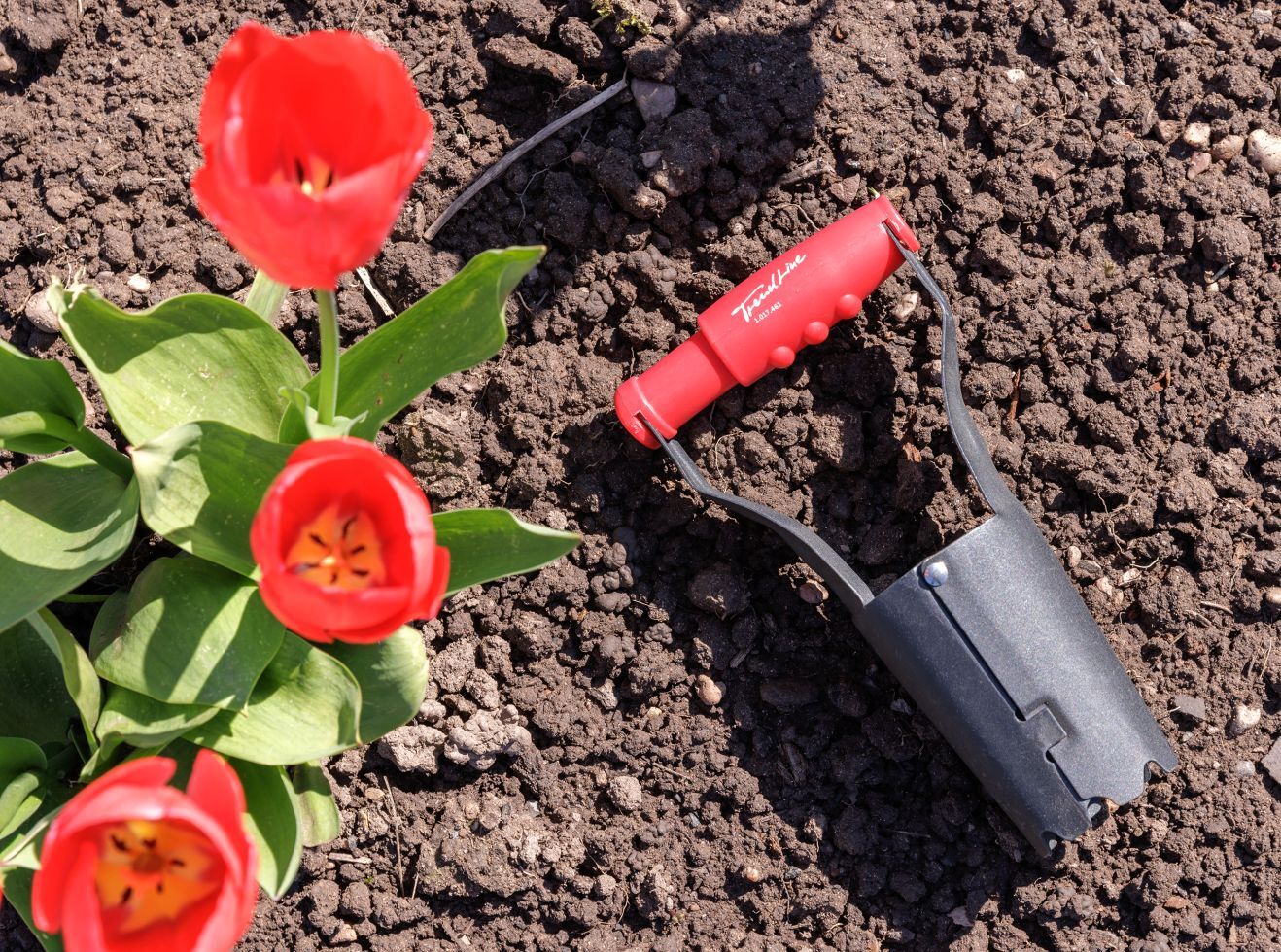 TrendLine Blumenzwiebel-Pflanzer