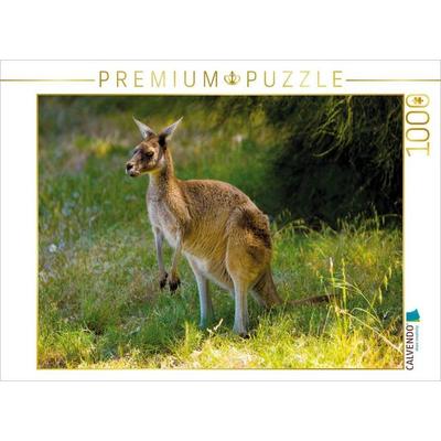 CALVENDO Puzzle Ein Motiv aus dem Kalender Freilebende Kängurus 2019 | 1000 Teile Lege-Größe 64x48cm Foto-Puzzle für glückliche Stunden