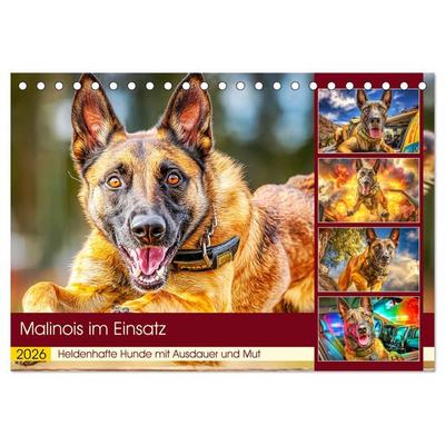 Malinois im Einsatz. Heldenhafte Hunde mit Ausdauer und Mut (Tischkalender 2026 DIN A5 quer), CALVENDO Monatskalender