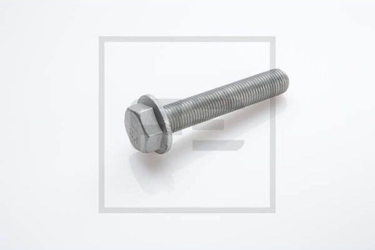 Montageschraube der Tragfeder PETERS 016.642-00