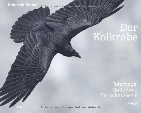 Heinrich Haller - Der Kolkrabe – Totenvogel, Götterbote, tierisches Genie - Preis vom 13.10.2026 11:25:28 h